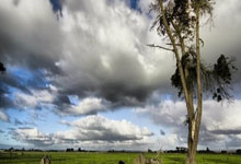 加时末段波尔图备战国王杯，造点机会细节曝光，管理层满意，资深球员宣示担当的简单介绍-LOL官网投注